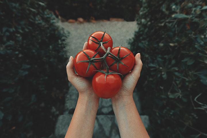 토마토 껍질 효능, 싹 벗겨야 할까?
